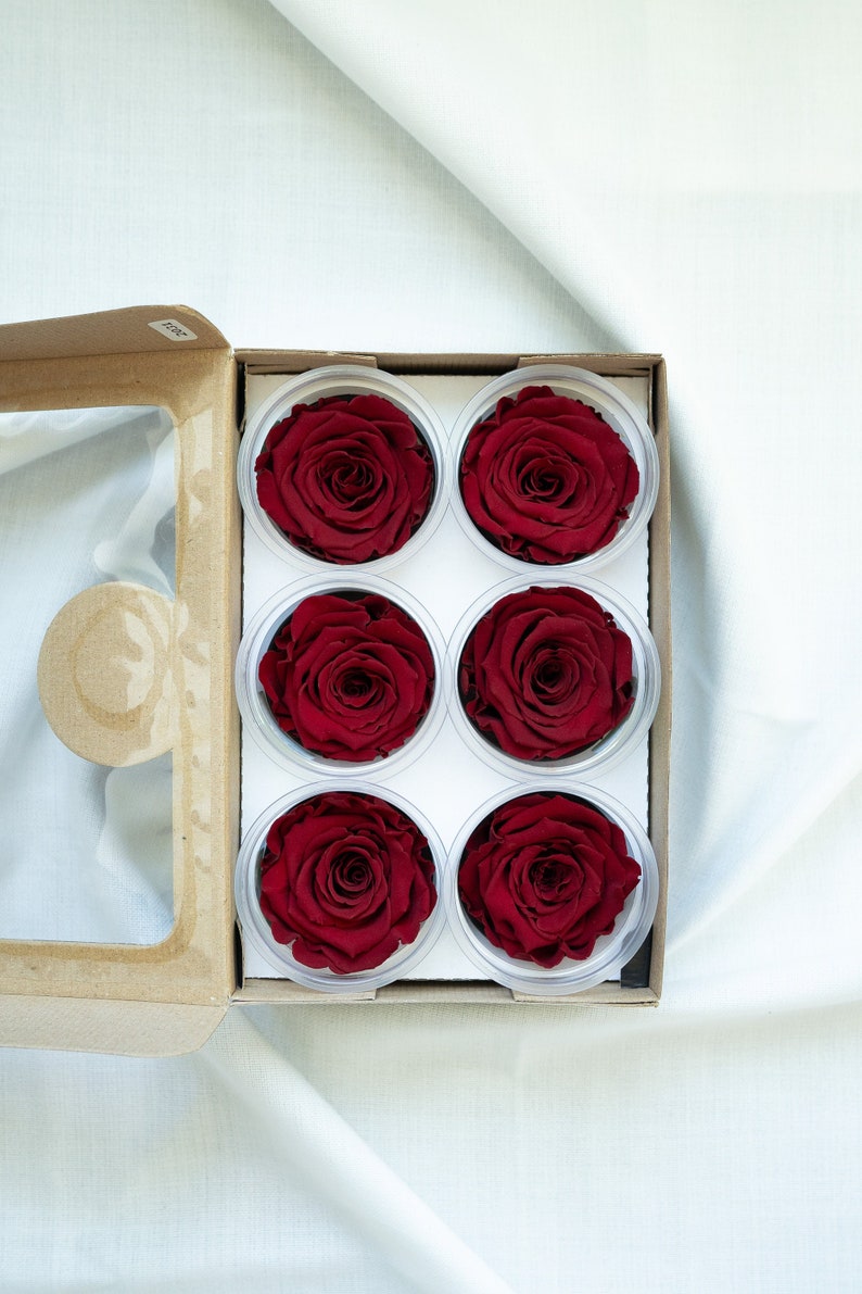 Red Preserved Roses Box Preserved Red Roses Box of 6, Ecuador - Etsy