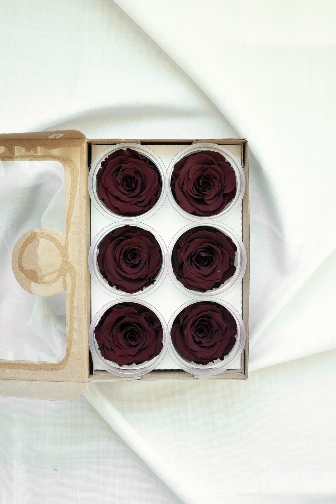 Preserved Dark Red Roses Box of 6, Ecuador 5.5 Cm - Etsy