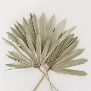 Dried Sun Palm Leaves, Small Size Palm Leaf, Wedding Flowers, Boho Home Decor, Wedding Decor, Dried Flowers, Bohemian Decor