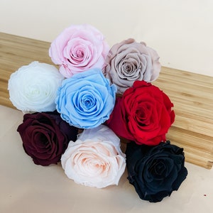 Preserved Roses, Everlasting roses from Ecuador, Floral Bouquet DIY&#39;s, Floral supplies