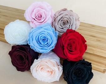Preserved Roses, Everlasting roses from Ecuador, Floral Bouquet DIY's, Floral supplies