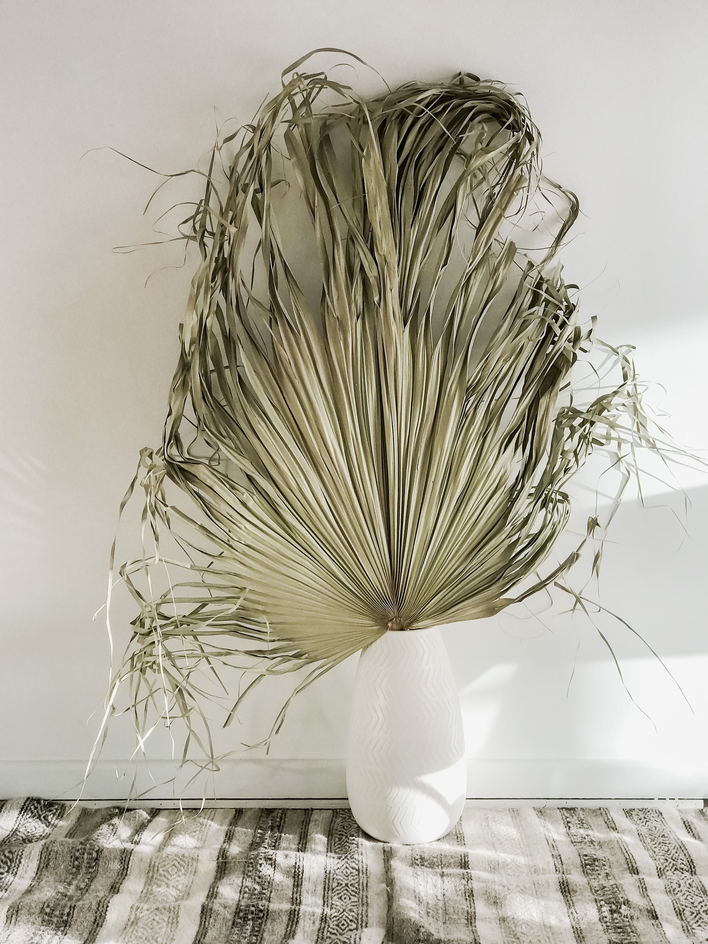 Extra Large Palm Leaf Dried Palm Leaves Green Palm Natural Etsy Canada