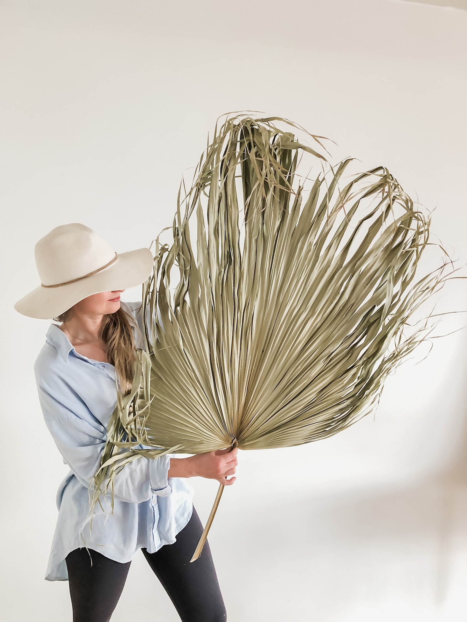 Extra Large Palm Leaf Dried Palm Leaves Green Palm Natural Etsy