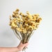 see more listings in the DRIED FLOWERS BUNCHES section