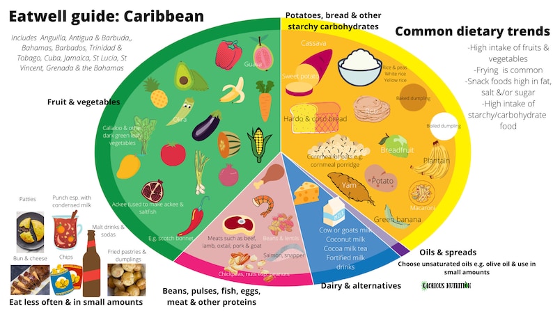 Culturally Adapted Eatwell Guide Resource V1 - Etsy