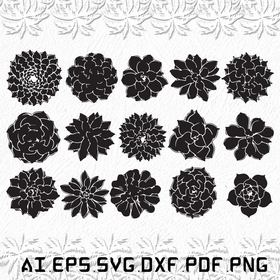 Succulent Svg, Succulents Svg, Plant Svg, Plants, Tree, SVG, Ai, Pdf