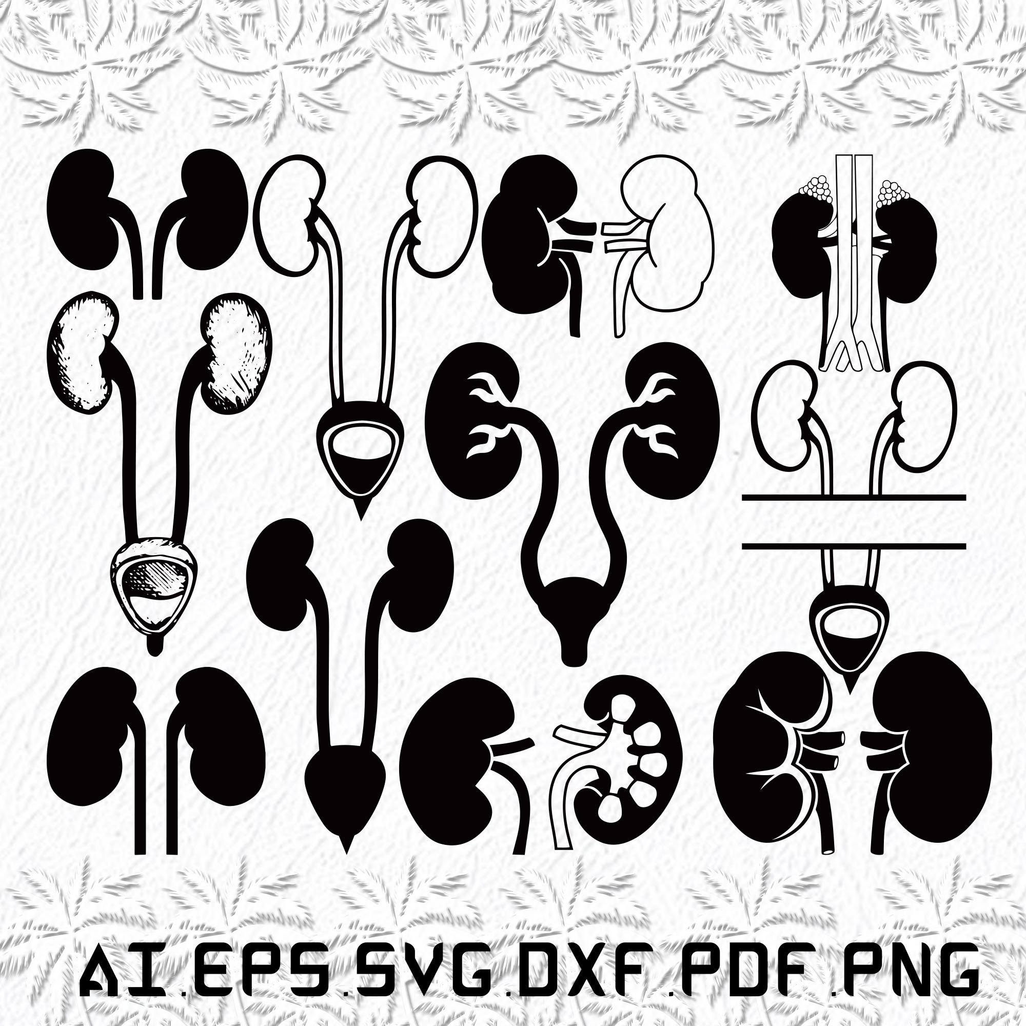 Kidney donor svg kidney donation svg lung disease green