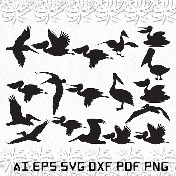 Pelican svg, Pelicans svg, birds svg, animal, bird, SVG, ai, pdf, eps, svg, dxf, png