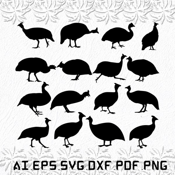 Guinea Fowl svg, Guinea svg, Fowl svg, Bird, Birds, SVG, ai, pdf, eps, svg, dxf, png