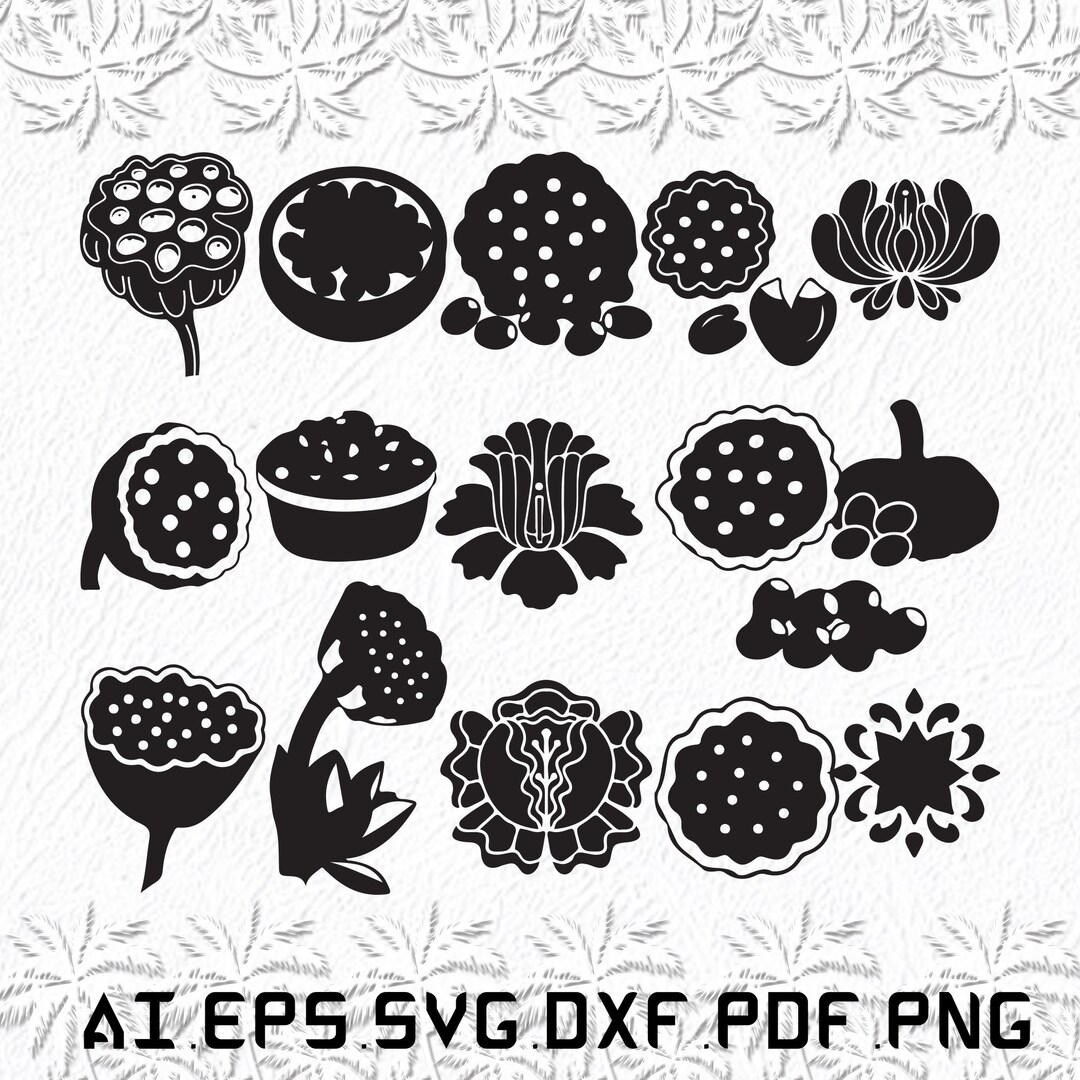 Lotus Seed Svg, Lotus Seeds Svg, Flower Svg, Lotus, Seed, SVG, Ai, Pdf