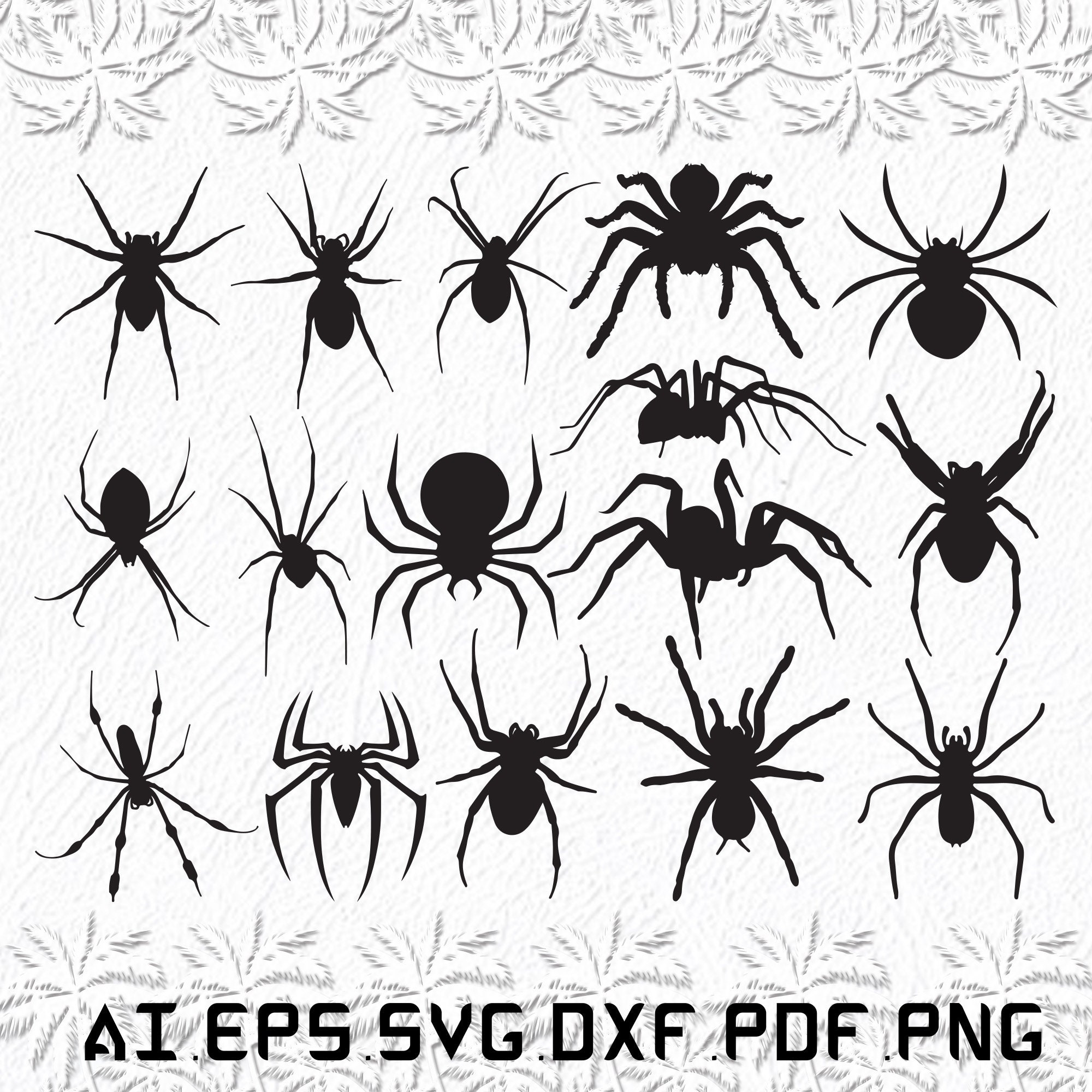 Amazon.com: Spyders & Silhouettes: The World Manufacturers