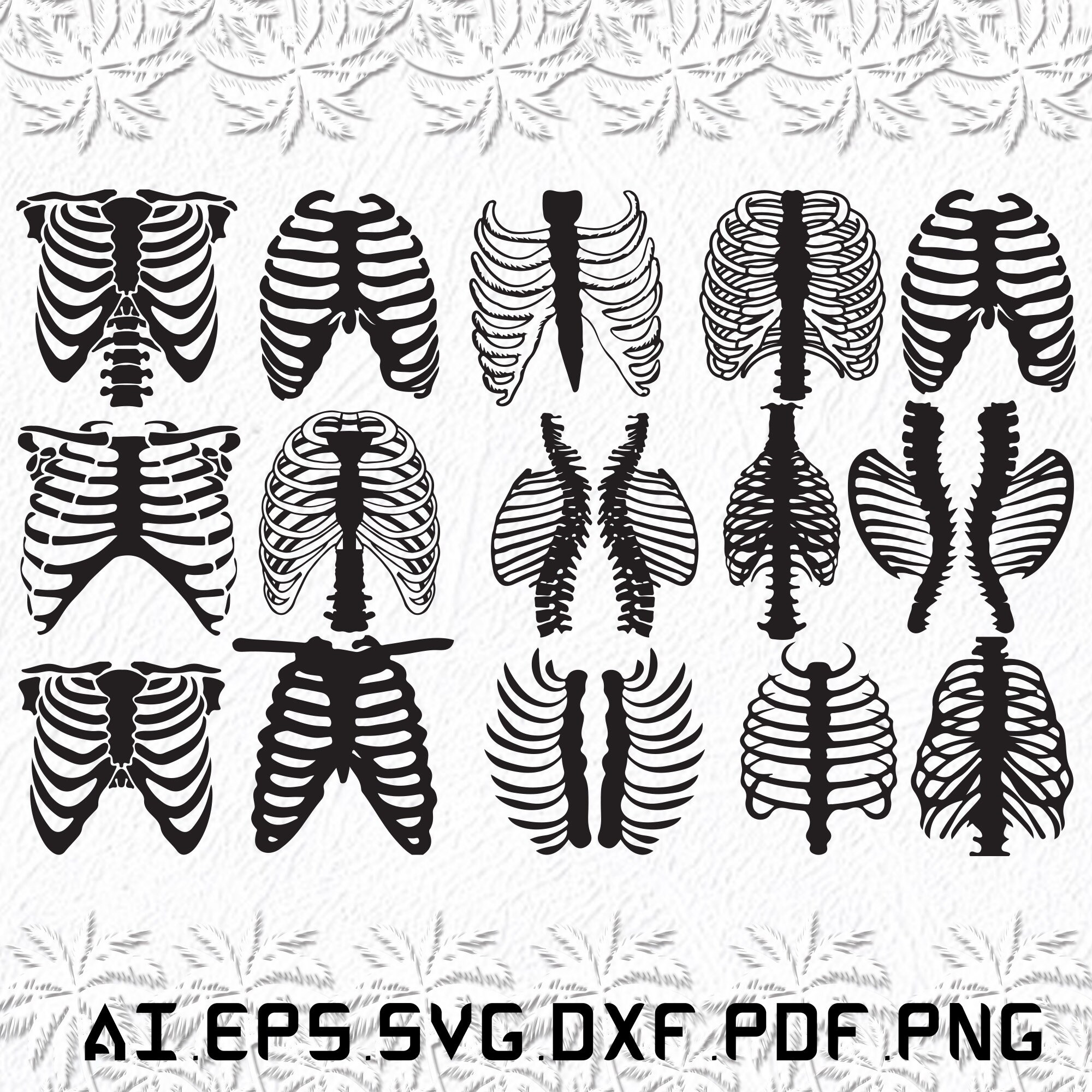 Skelett Rib Cage Svg Skelett Käfig svg Skelett Käfig Etsy Schweiz