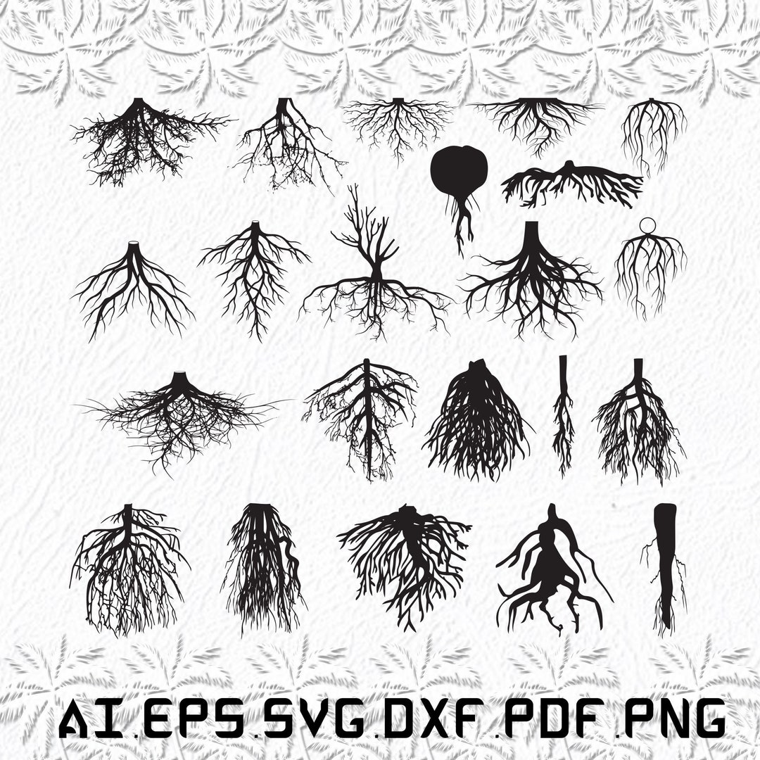 Root Svg, Roots Svg, Tree Roots Svg, Tree, Tree Lover, SVG, Ai, Pdf ...