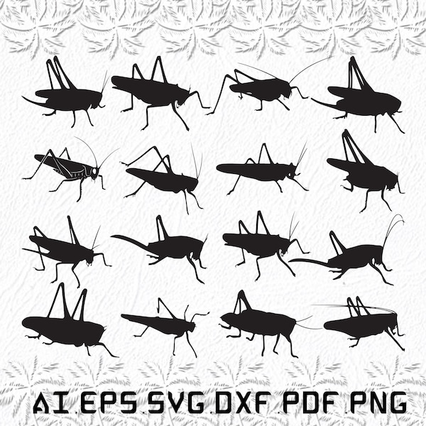 Locust grasshopper svg, Locust grasshoppers svg, Locust svg, grasshopper, insect, SVG, ai, pdf, eps, svg, dxf, png