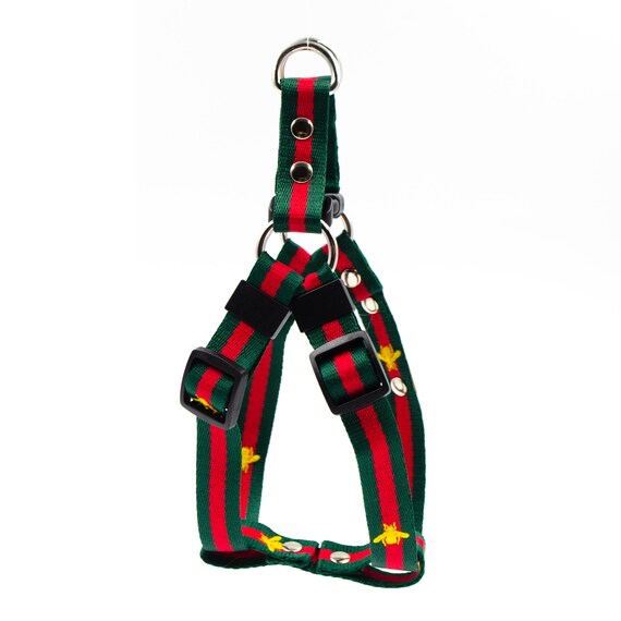 dog harness gucci