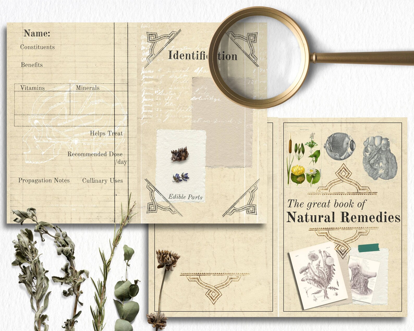Herbal Medicine Book Printable Junk Journal Kit for Those Etsy