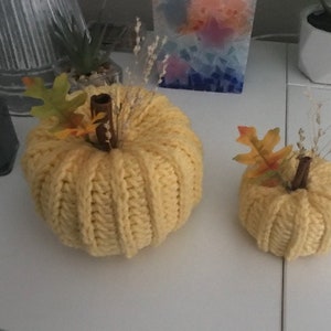 K&ouml;nnte beinhalten: Zwei gestrickte K&uuml;rbisse, einer gro&szlig; und einer klein, in gelber Farbe. Die K&uuml;rbisse haben einen Stiel aus Zimtstange und Herbstdekorationen.