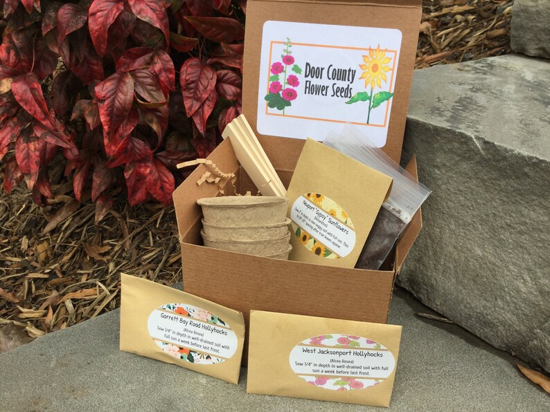 Door County Cottage Hollyhocks and Sunflowers Seed Kit