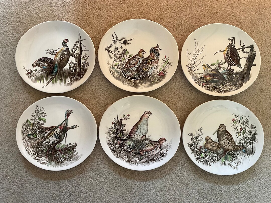 6 Johnson Brothers GAME BIRDS Large Dinner Plates 11 All Different Exc