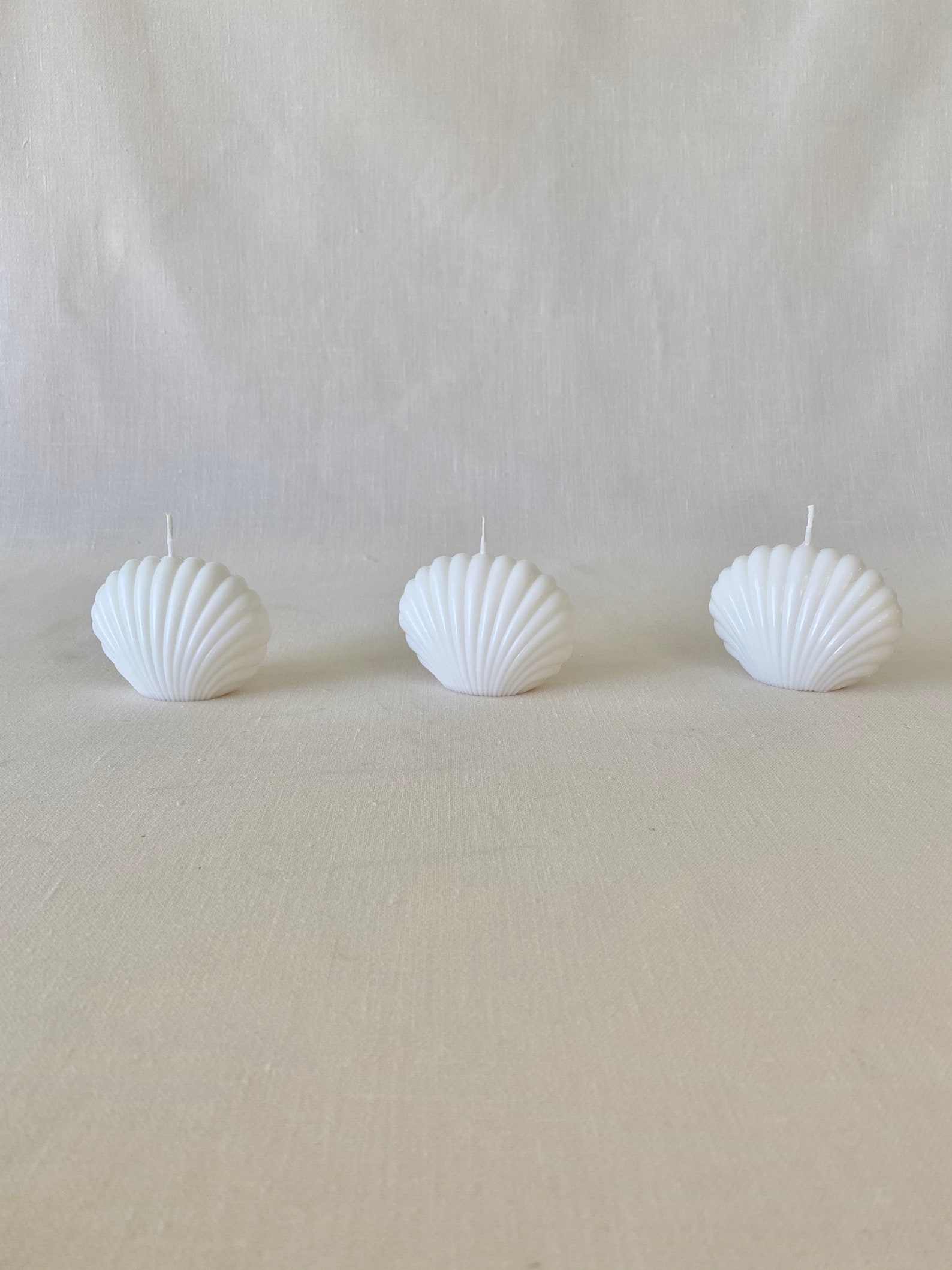 Shell Candle Sea Shell Shaped Candle Clam Shell Candle Etsy