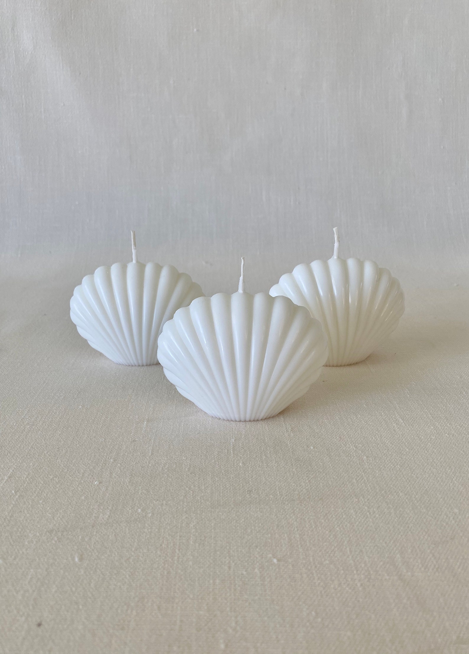 Shell Candle Sea Shell Shaped Candle Clam Shell Candle Etsy