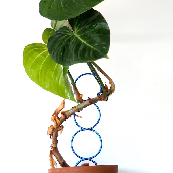 Stoked PLANT SUPPORT rose gold green lilac brown | aluminum wire 70s metal luxe plant stake trellis modern plant support pot Australian made