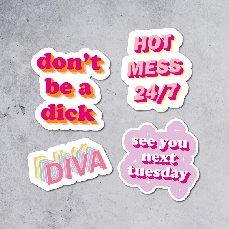 Stickers Rude/Sassy Sticker Pack Stickers Pack Funny Etsy
