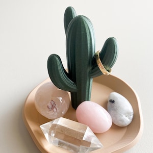 Cactus jewellery dish • ring dish • jewellery holder • jewellery storage • ring storage • home decor • jewellery organisation • trinket dish