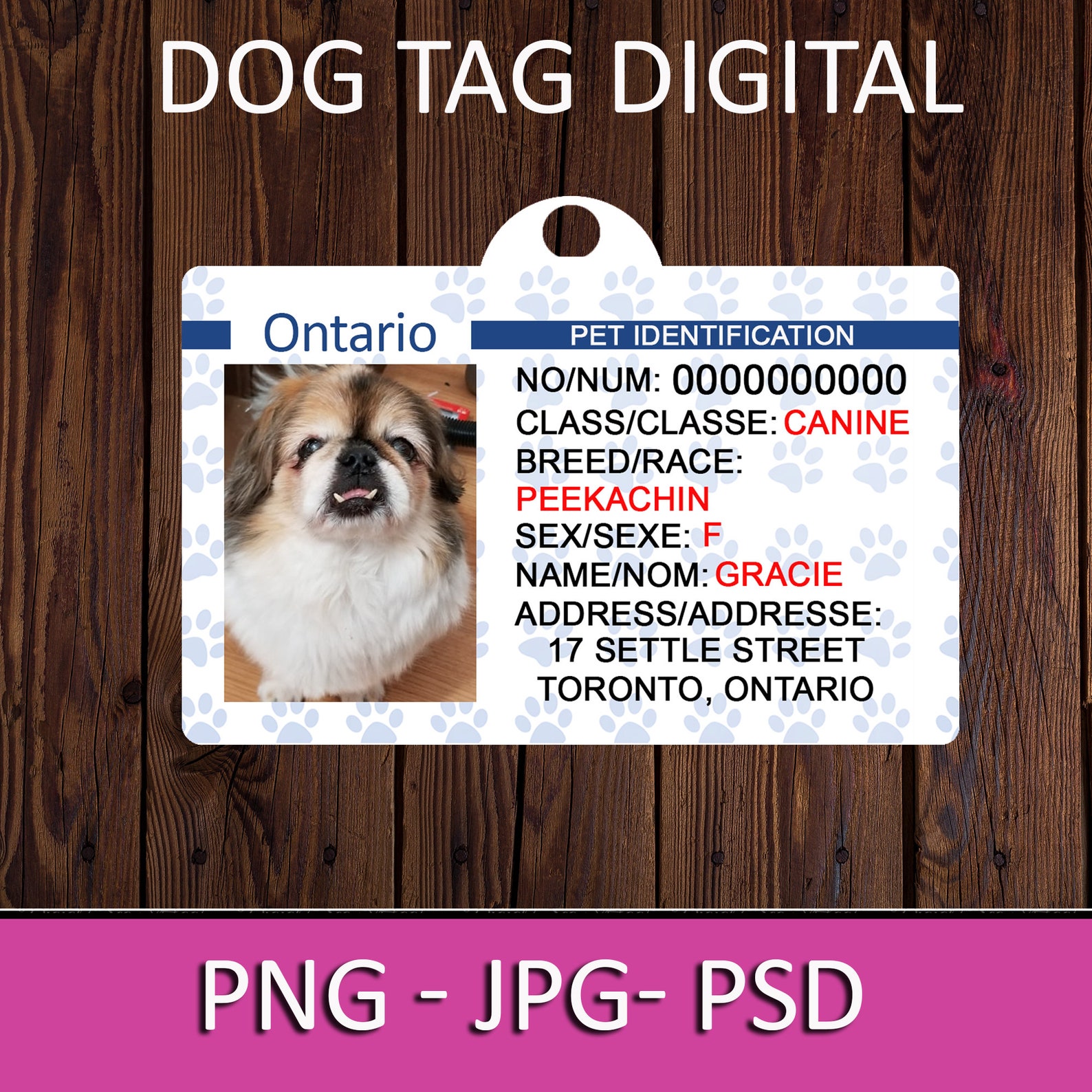 Ontario Pet Id Tag Sublimation Ontario Pet Id Template Dog Etsy