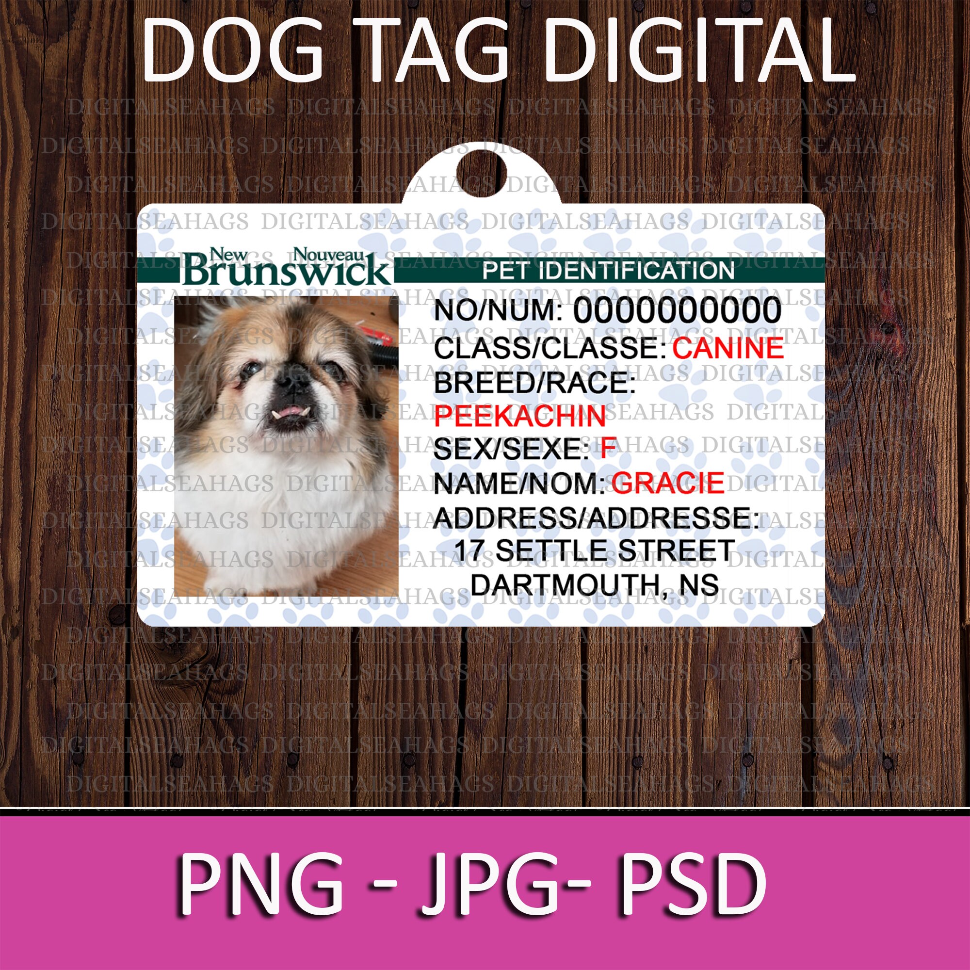 digital pet id tag