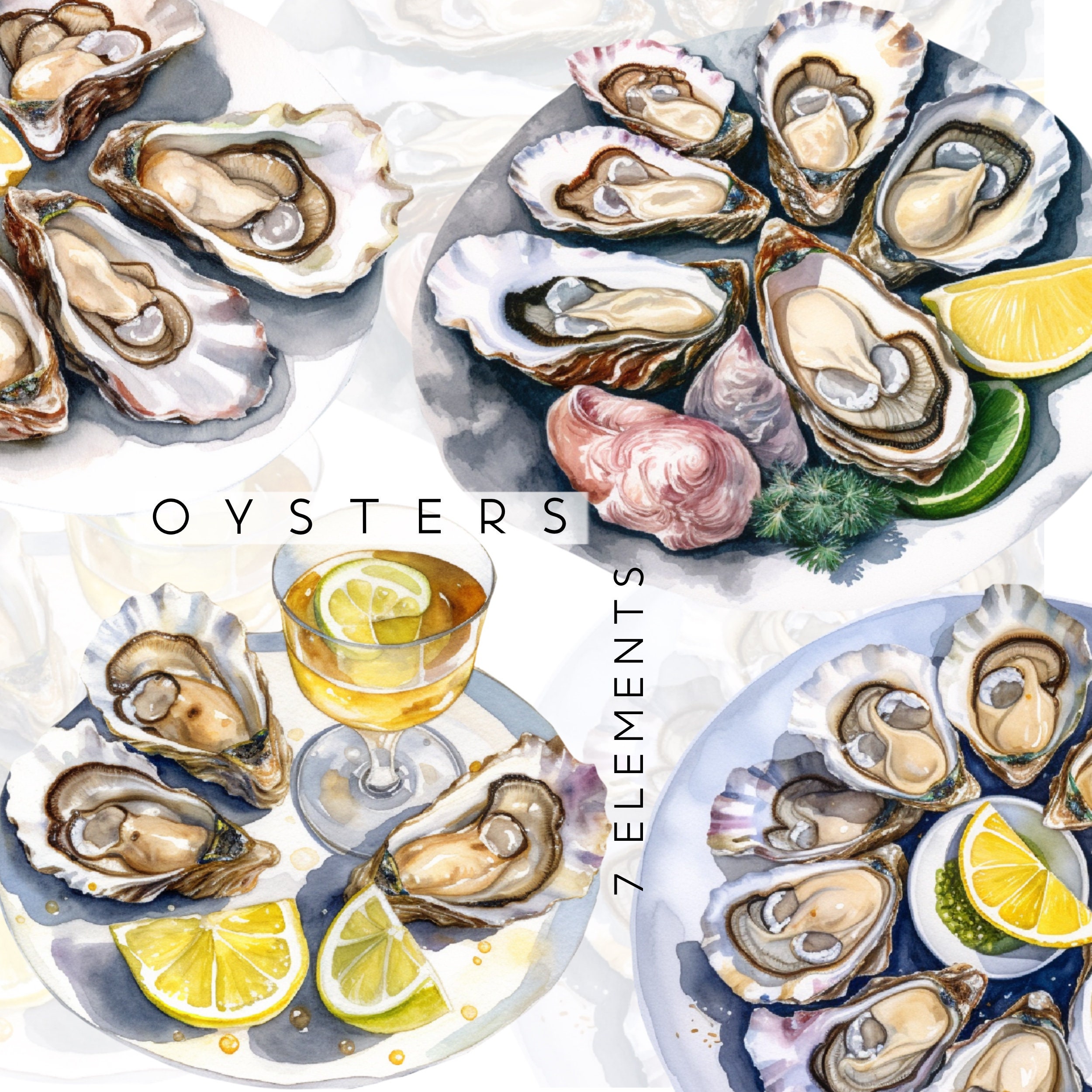 Watercolor Fresh Oysters Clipart. Watercolor Seafood.oyster. Oyster ...