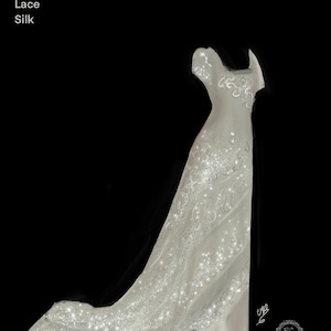 Edwardianisches Himmelskleid, Edwardianisches Hochzeitskleid, Rosenkleid, Spitzenkleid, Titanic-Kleid, Valencienne-Spitze Belle Epoque Edwardianisches Kleid