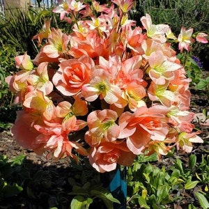 Gravesite Decor, Gravesite Arrangement, Cemetery Decor, Cemetery Flowers, Cemetery Orange Floral Arrangement w/vase, Cemetery Arrangement