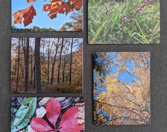 Autumn (Ecclesiastes 3), Variety Photo Greeting Card 10 Pack, Blank  - Photography Note Card Set with Envelopes - 4.25 x 5.5 Cards