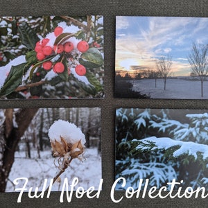 Natal (Noel), cartão fotográfico variado, pacote de 6 ou 12, em branco - conjunto de cartões fotográficos com envelopes - cartões 4,25 x 5,5