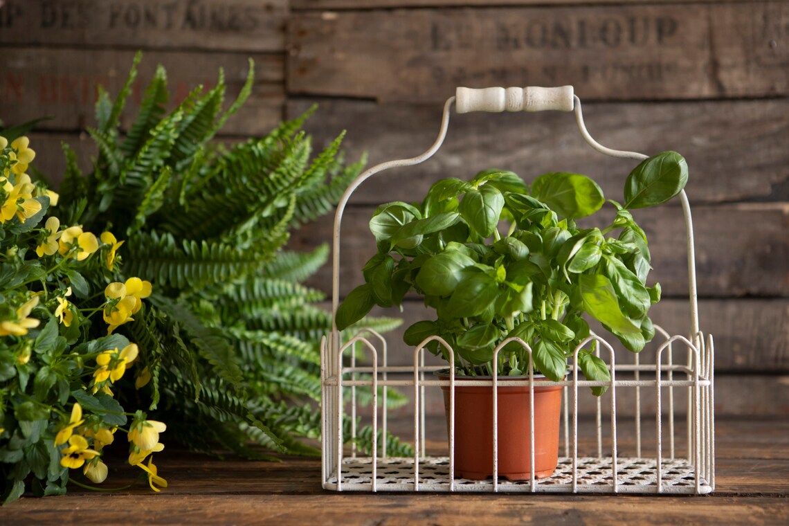 Metal & Wood Country Style Plant Pot Carrier / Holder Etsy