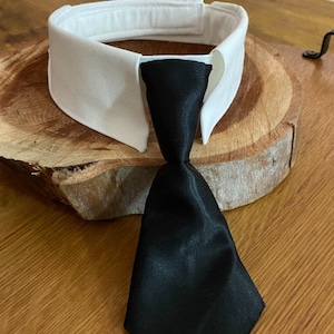 Made to measure Collar and tie ( just msg me your dogs neck size when you order) any size