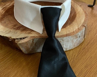 Made to Measure Dog Collar and Tie: Handmade Pet Outfit