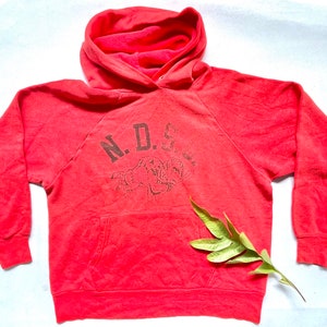 Vintage 80's NDSU Bison Pullover Raglan Hoodie (W 21 x L 19.5)