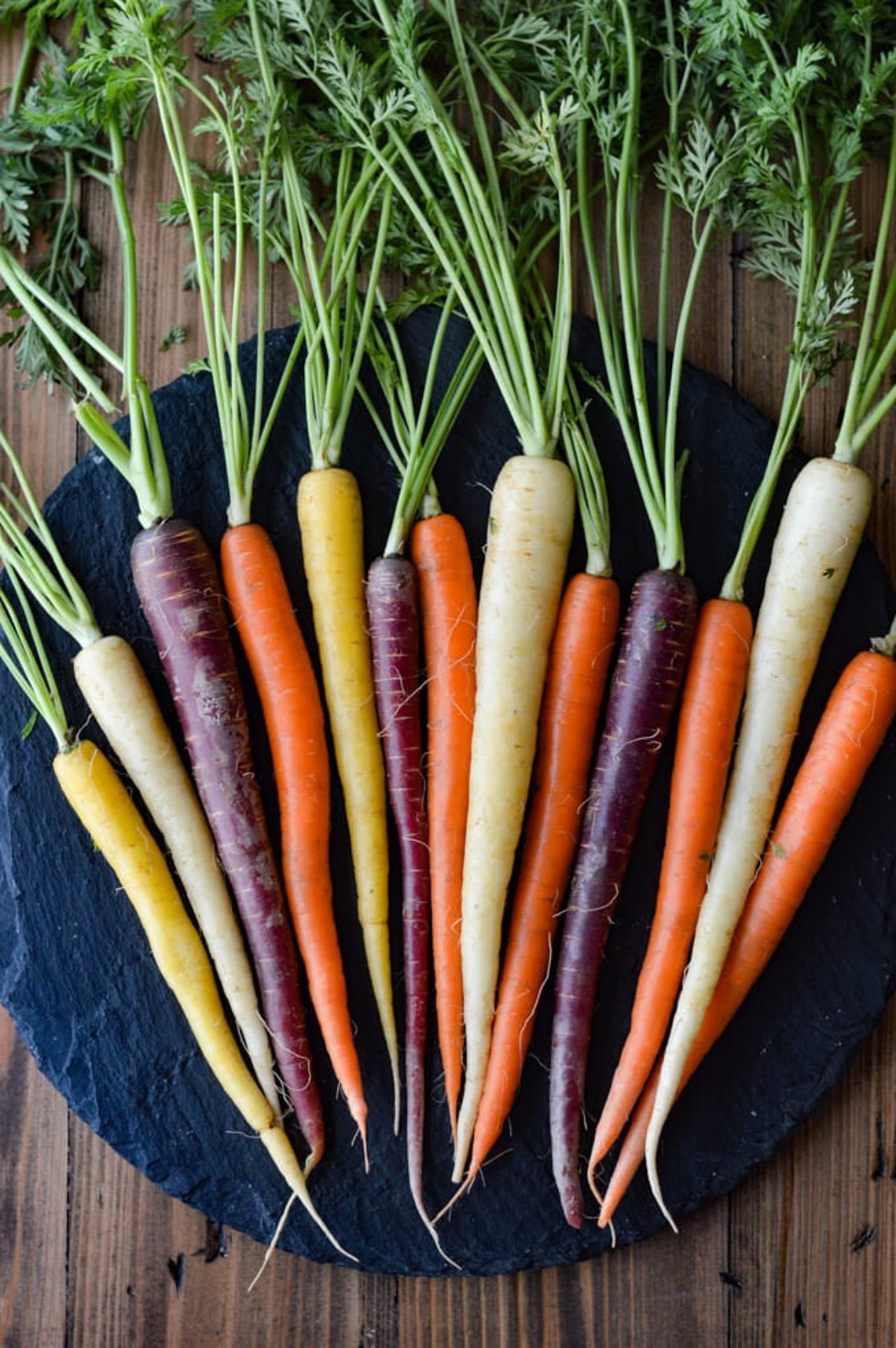 500RAINBOW CARROTS Seeds 5 Colors All Natural Organic Etsy