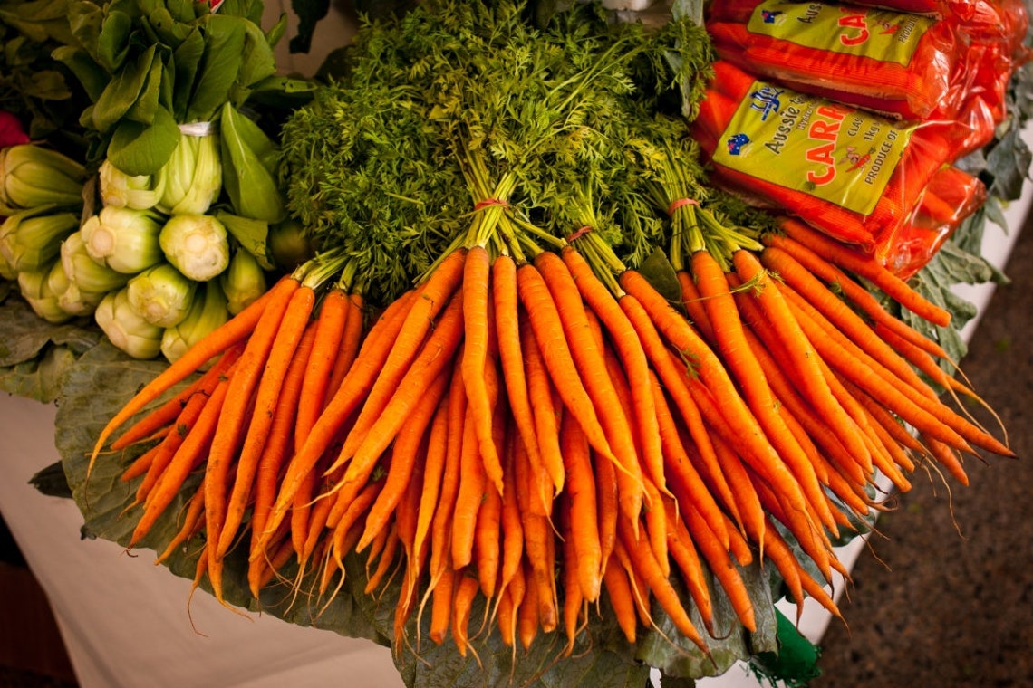 500 Little Finger Carrot Seeds Sweet Tender NonGMO Etsy