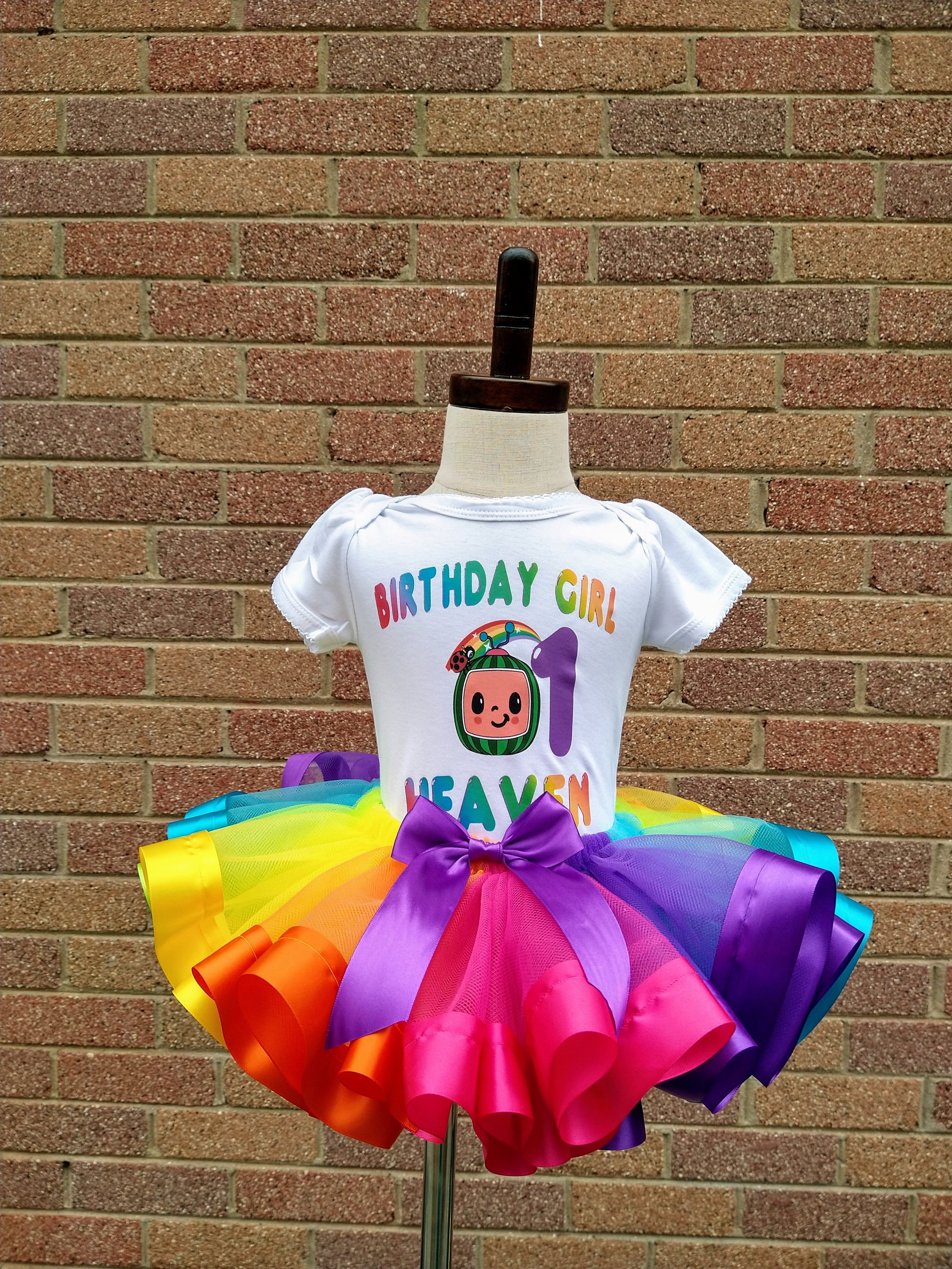Cocomelon Rainbow Tutu Outfit Rainbow Tutu Birthday Girl | Etsy