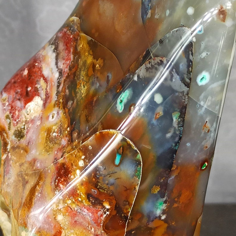 petrified wood opal petrified wood opal