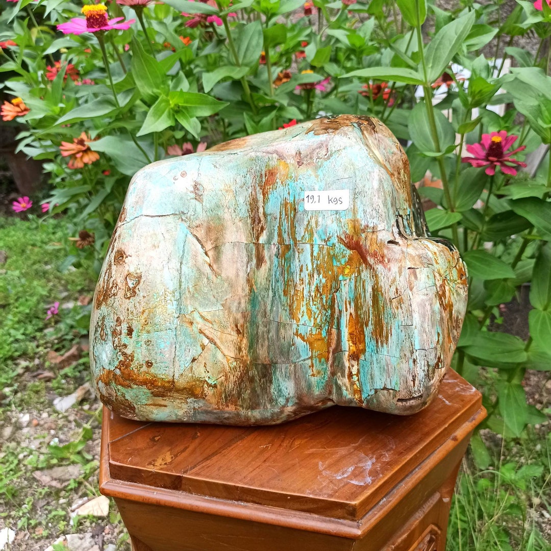 191 Kgs Natural Green Blue Petrified Wood Polished Etsy