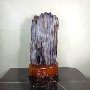 22,4 kgs | Natural Rare Huge Crystal Agatized Petrified Wood Polished with Wood Base