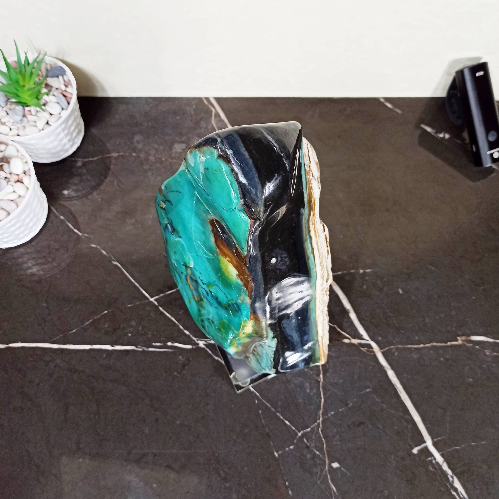 5,1 Kgs | Natural Extremely Rare Turquoise Opalized Petrified Wood ...