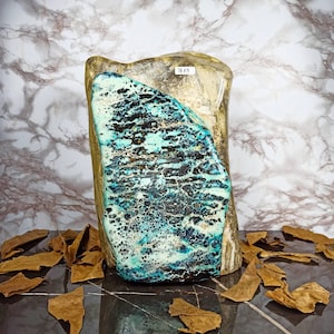 18 kgs | Natural Unique and Super Rare Turquoise Blue Black Opalized Petrified Wood Polished
