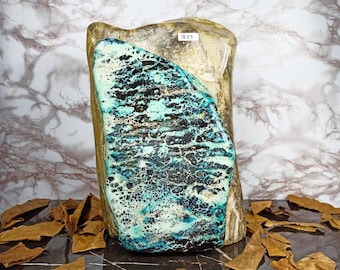 18 kgs | Natural Unique and Super Rare Turquoise Blue Black Opalized Petrified Wood Polished