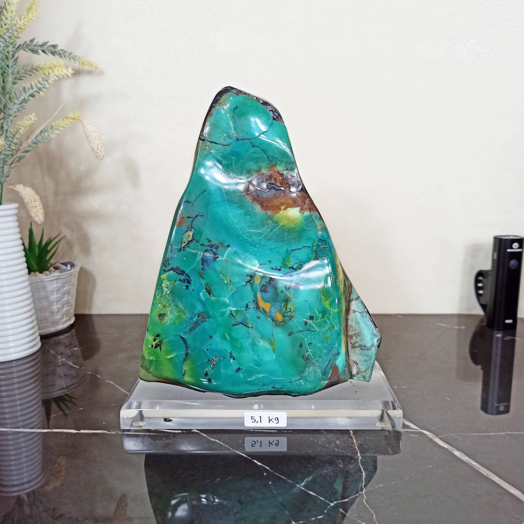 5,1 Kgs | Natural Extremely Rare Turquoise Opalized Petrified Wood ...
