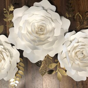 Rose flowers